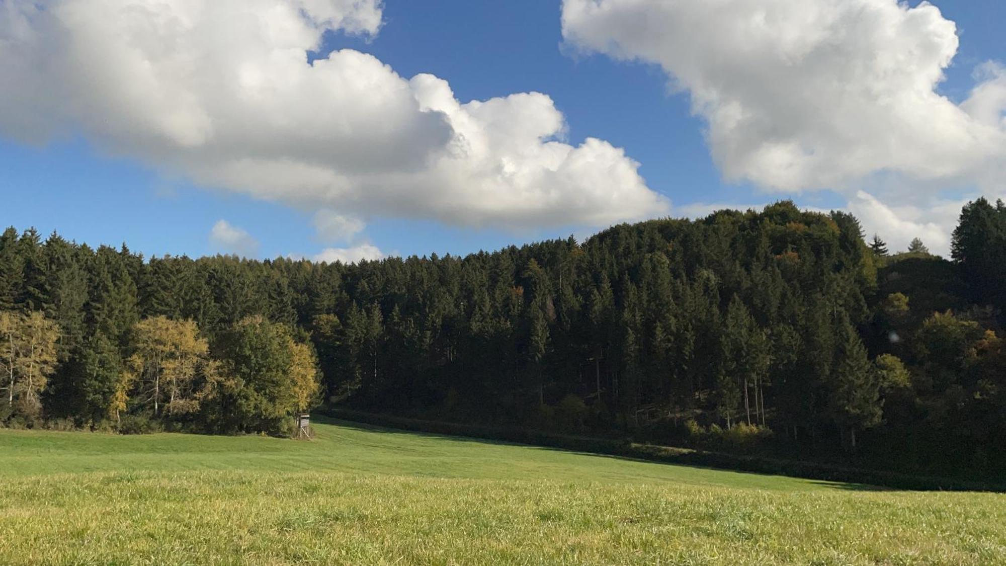 Deine-Eifel-Ferienwohnung Feusdorf Eksteriør billede