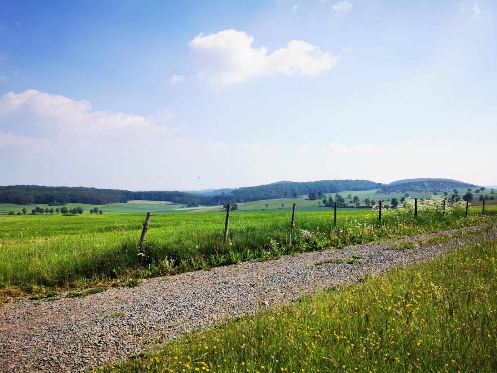 Deine-Eifel-Ferienwohnung Feusdorf Eksteriør billede