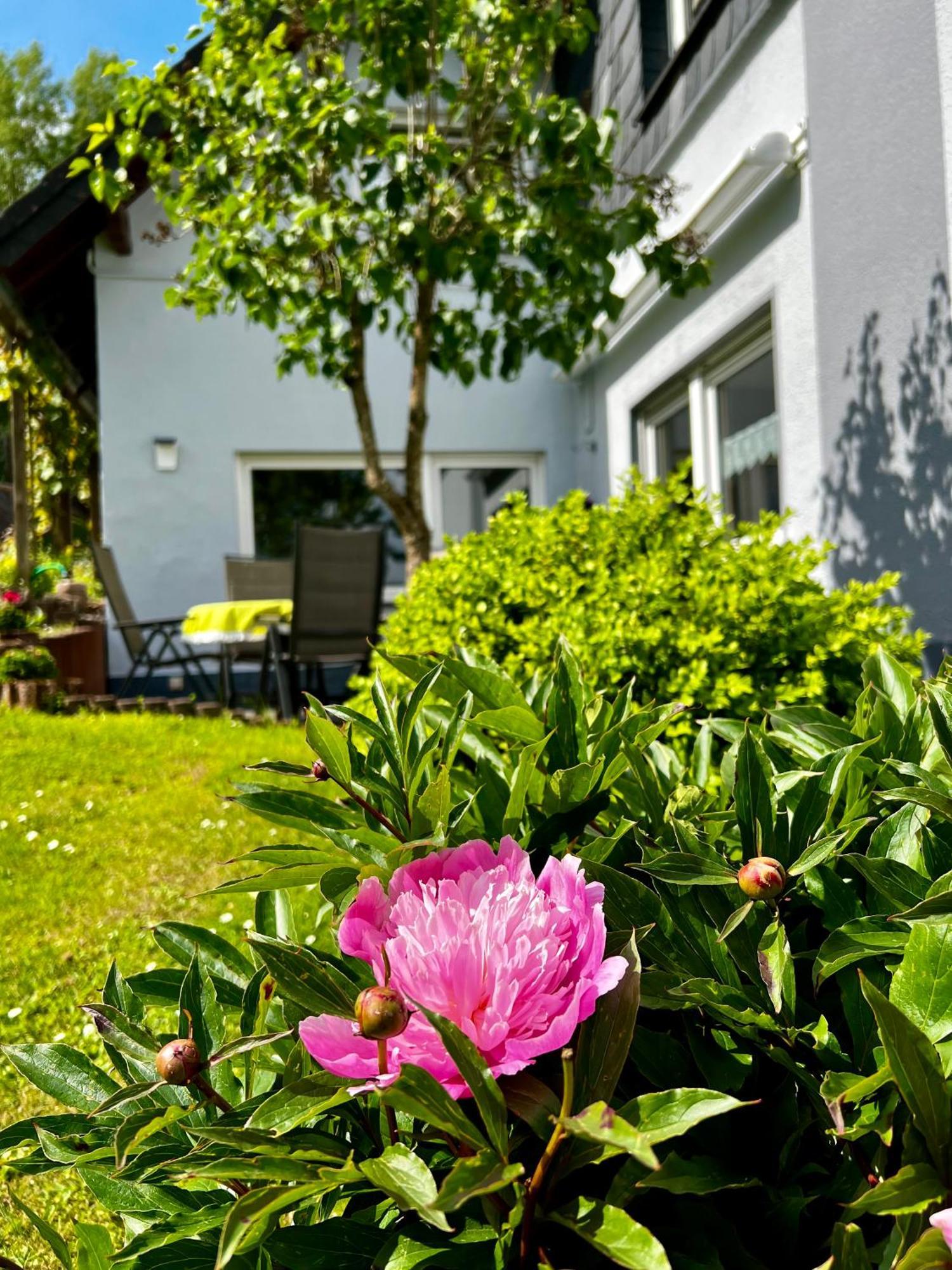 Deine-Eifel-Ferienwohnung Feusdorf Eksteriør billede