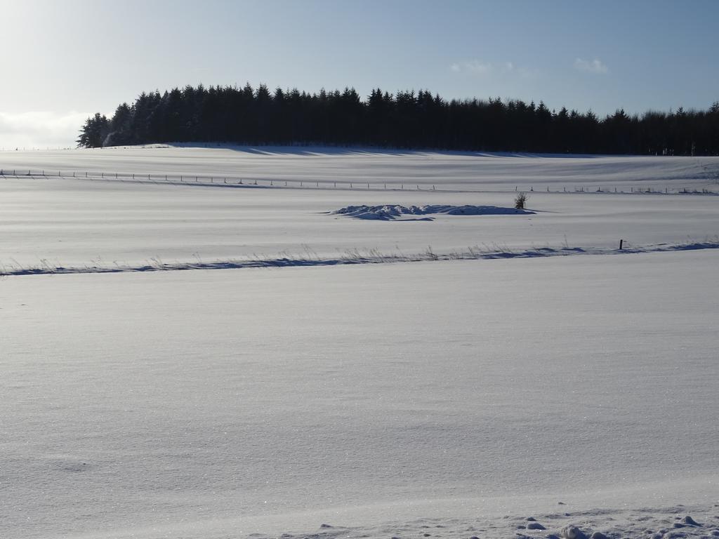 Deine-Eifel-Ferienwohnung Feusdorf Eksteriør billede